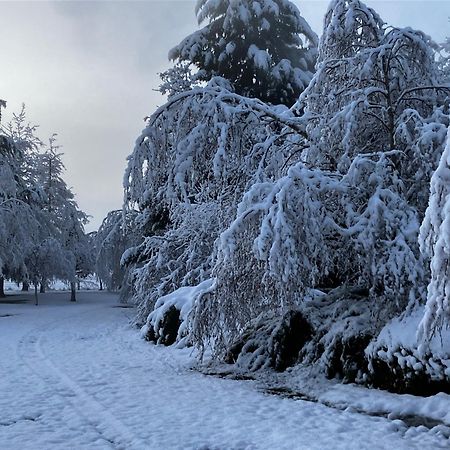 Woodbank Road Escape Villa Hanmer Springs Luaran gambar