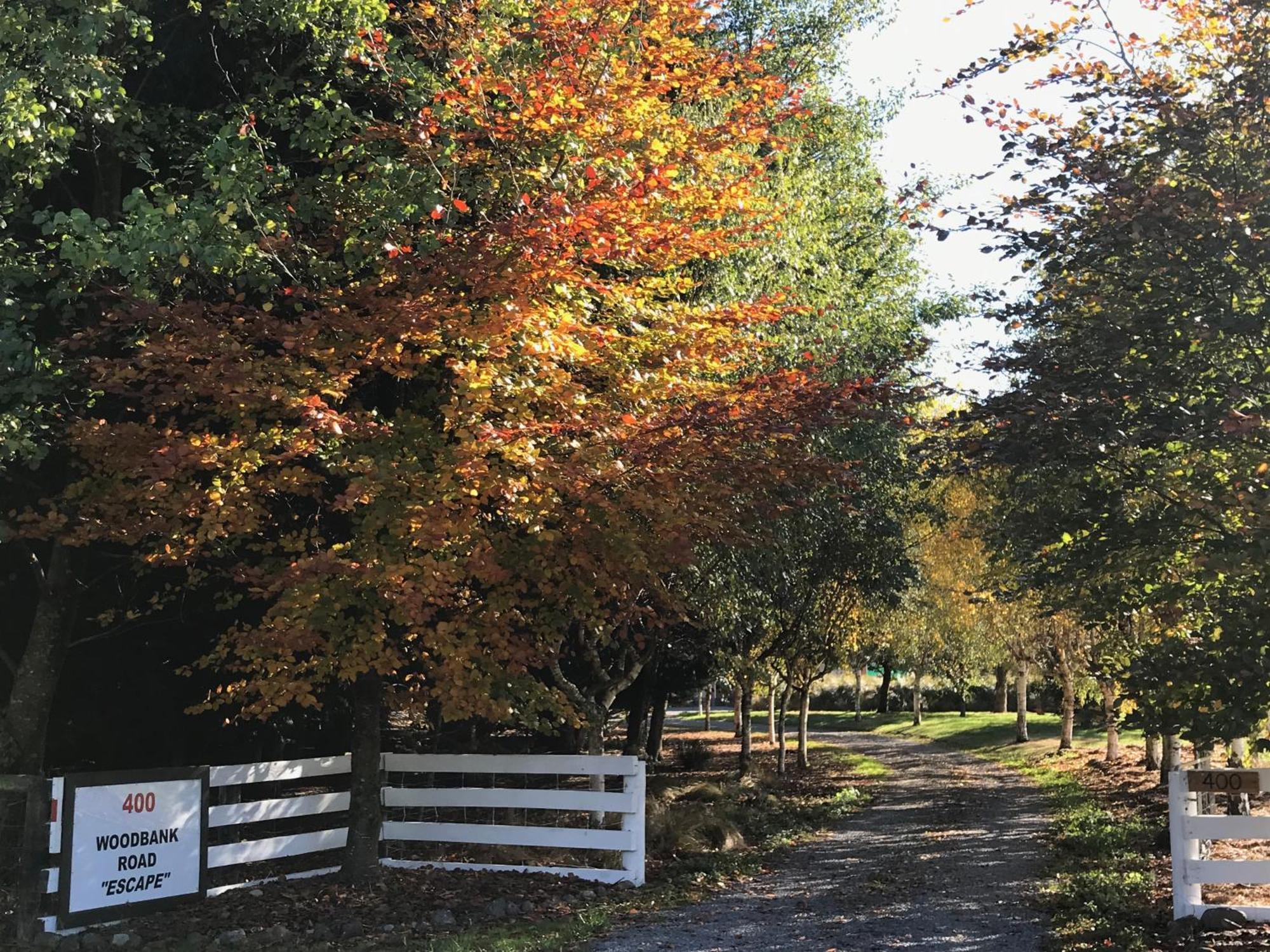 Woodbank Road Escape Villa Hanmer Springs Luaran gambar