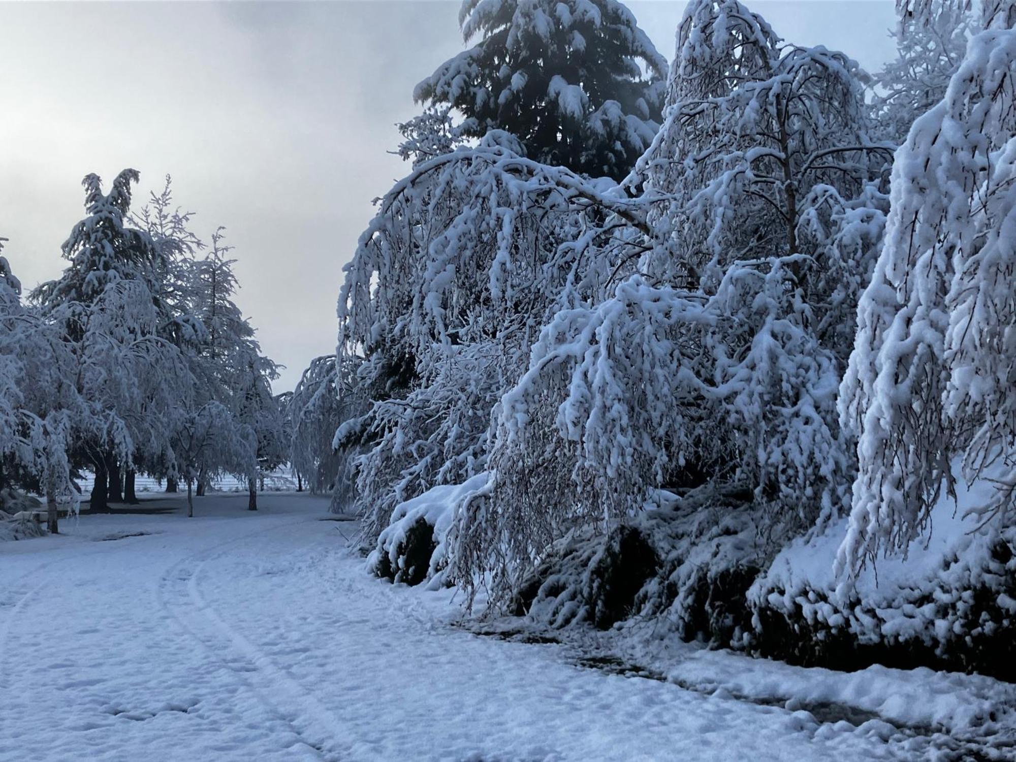 Woodbank Road Escape Villa Hanmer Springs Luaran gambar